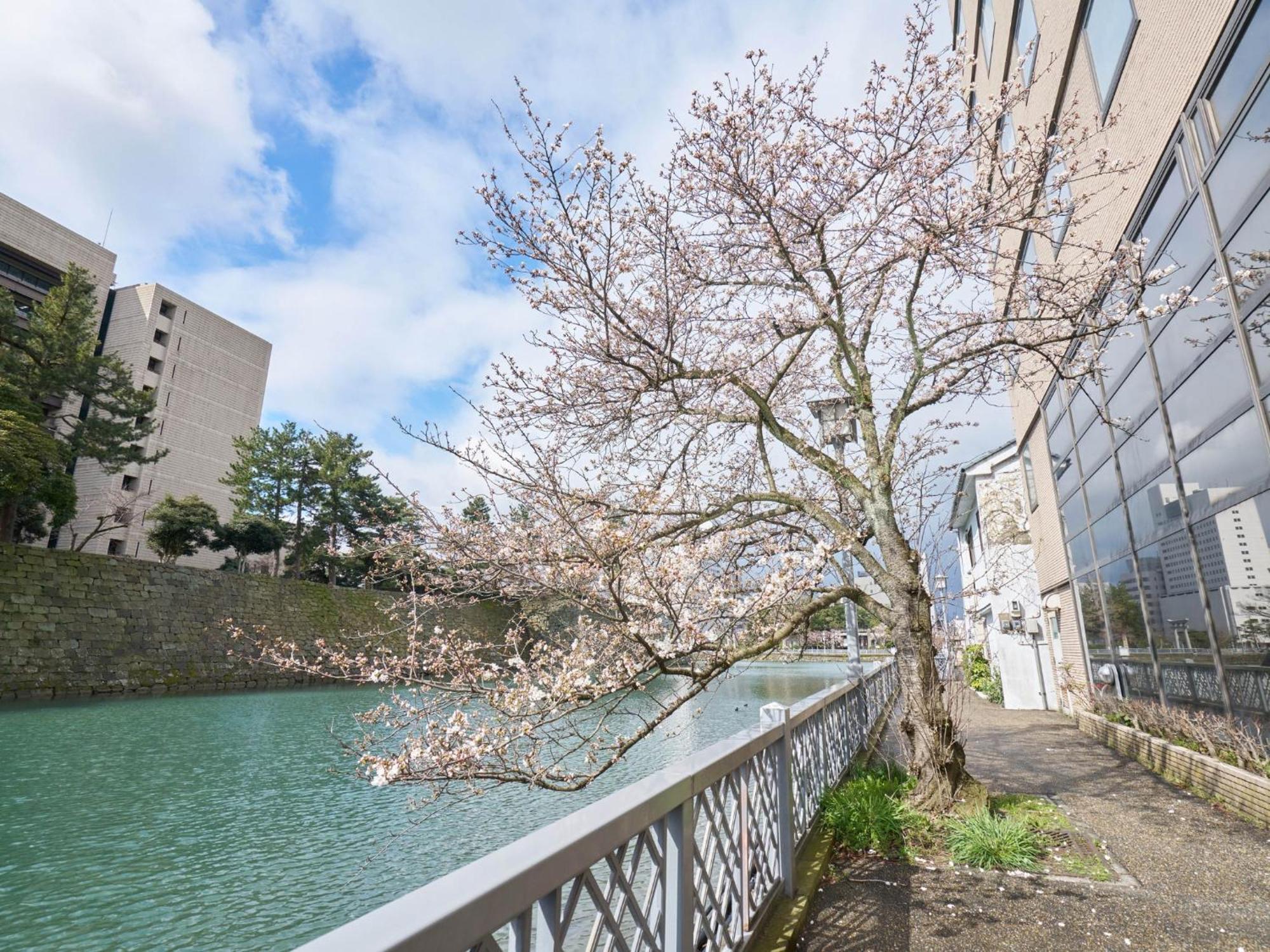Hotel Fukui Castle - Vacation Stay 58696V Exterior photo