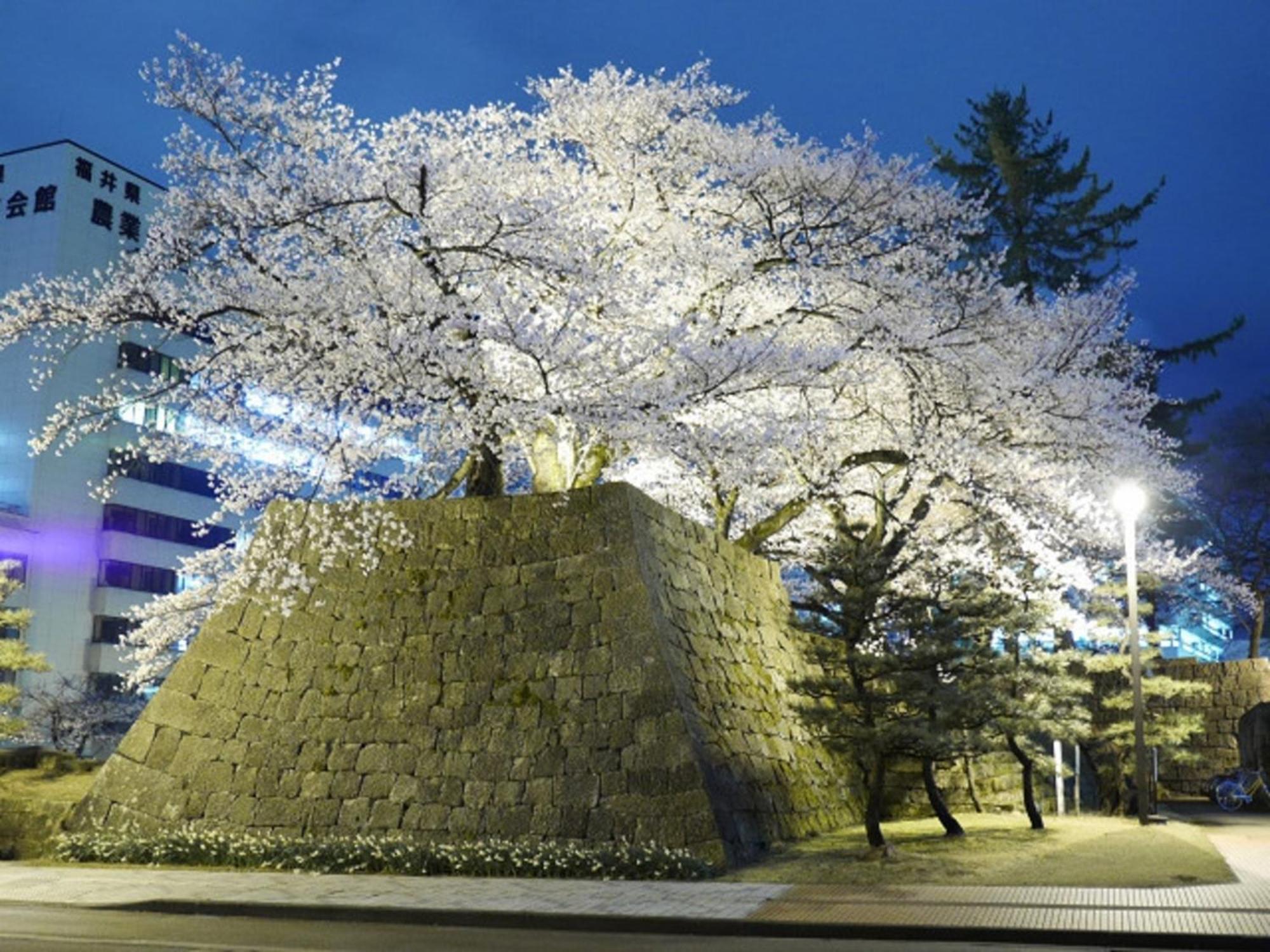 Hotel Fukui Castle - Vacation Stay 58696V Exterior photo
