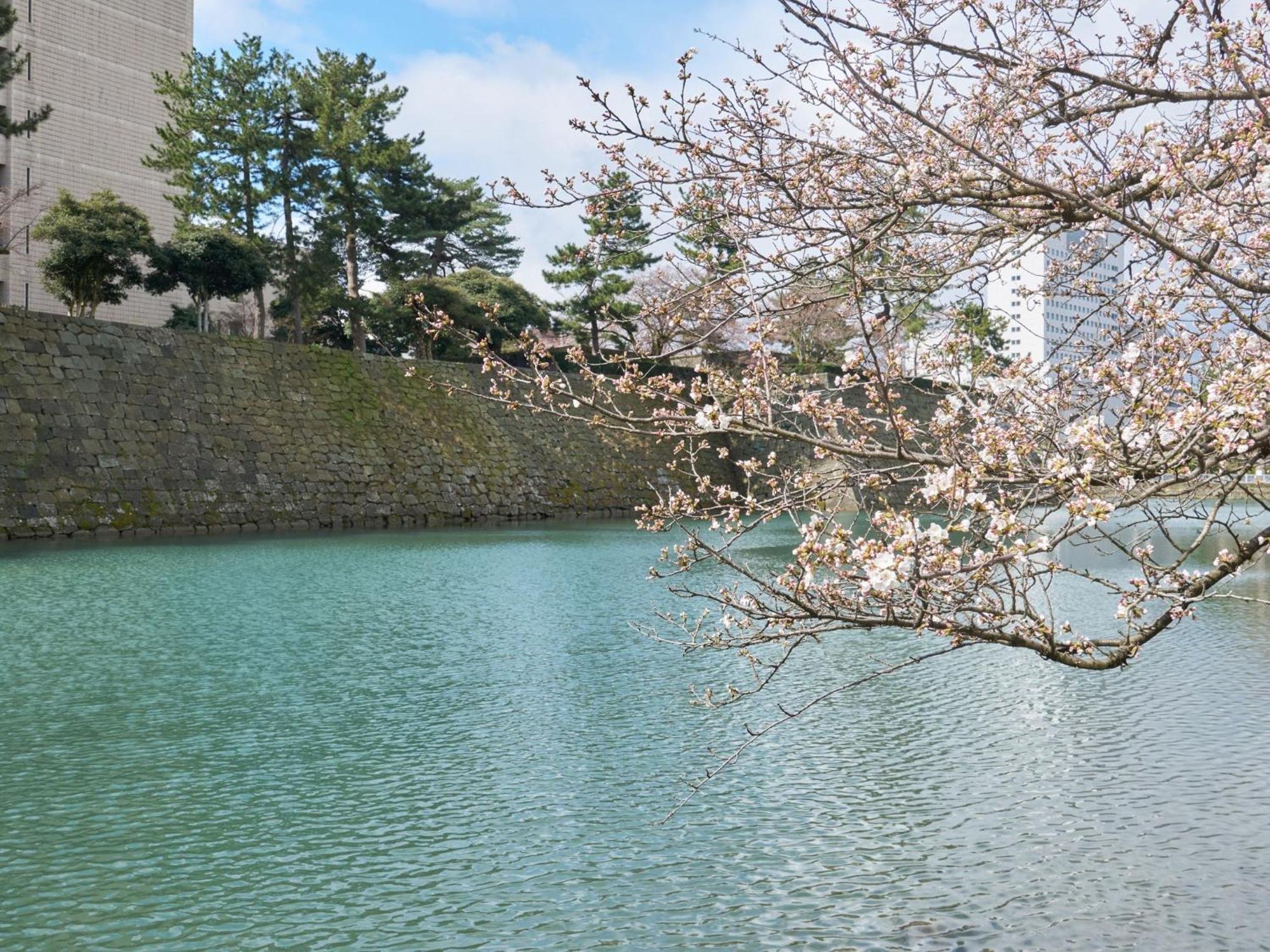 Hotel Fukui Castle - Vacation Stay 58696V Exterior photo